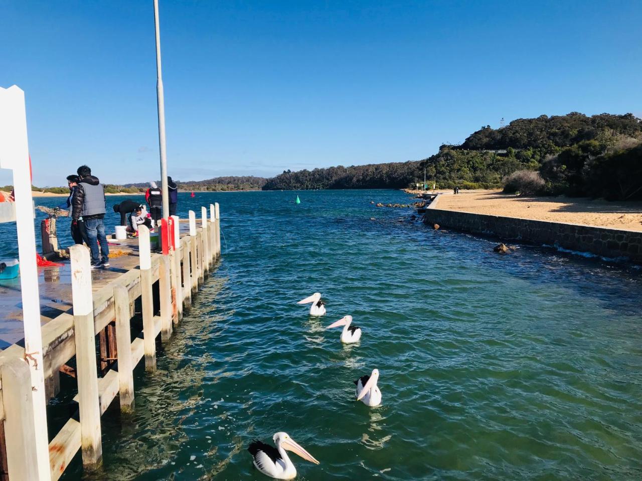 Black Swan Motor Inn Lakes Entrance Dış mekan fotoğraf